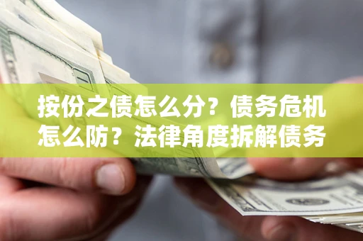 武汉按份之债怎么分？债务危机怎么防？法律角度拆解债务分配与风险自保指南