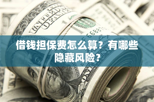 武汉借钱担保费怎么算？有哪些隐藏风险？