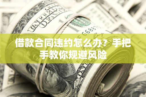 武汉借款合同违约怎么办？手把手教你规避风险