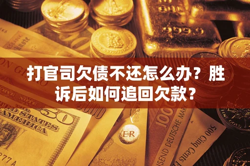 武汉打官司欠债不还怎么办？胜诉后如何追回欠款？