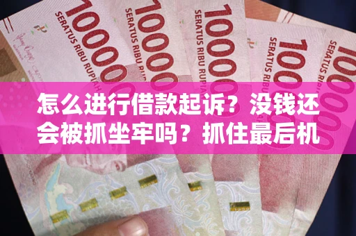 武汉怎么进行借款起诉？没钱还会被抓坐牢吗？抓住最后机会！