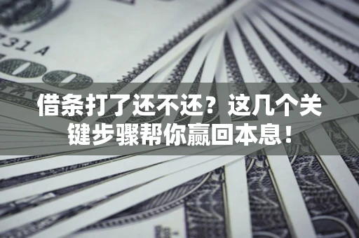 武汉借条打了还不还？这几个关键步骤帮你赢回本息！