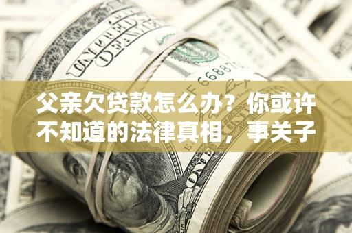 武汉父亲欠贷款怎么办？你或许不知道的法律真相，事关子女未来