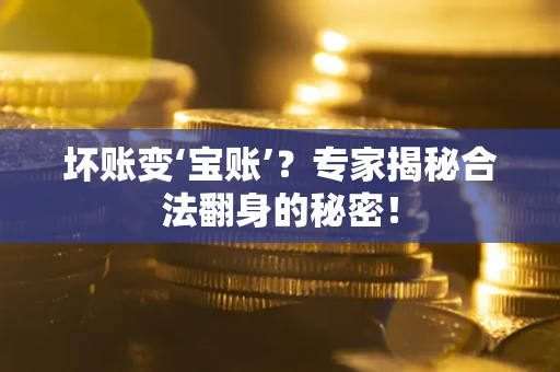 武汉坏账变‘宝账’？专家揭秘合法翻身的秘密！
