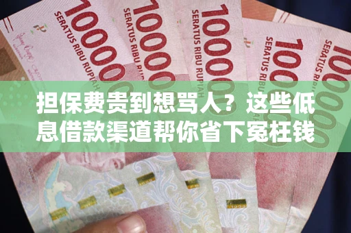 武汉担保费贵到想骂人？这些低息借款渠道帮你省下冤枉钱
