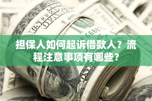 武汉担保人如何起诉借款人？流程注意事项有哪些？